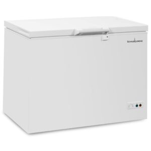 SCHAUB LORENZ SSCO305E Congelatore 301LT Classe E